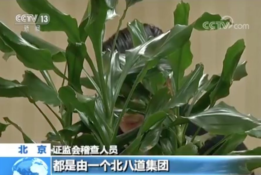 配资股票是违法行为吗_配资股票是什么_什么是股票配资
