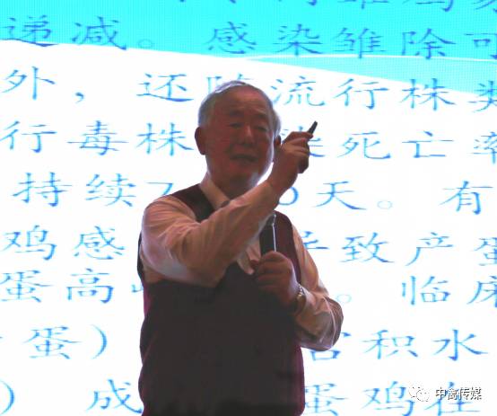 资本邦控股有限公司_资本邦是高新科技公司吗_优邦资本