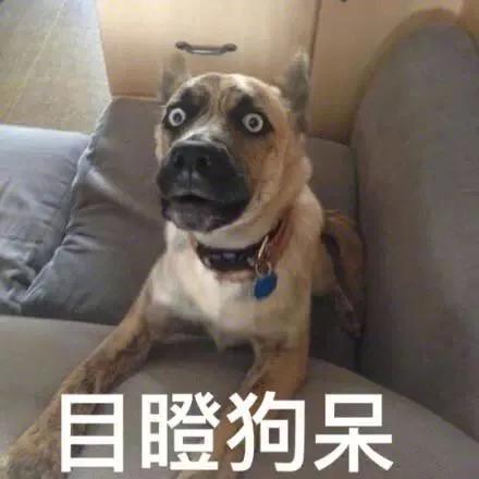 配资炒股开户_配资开户股票网站官网_股票配资开户网