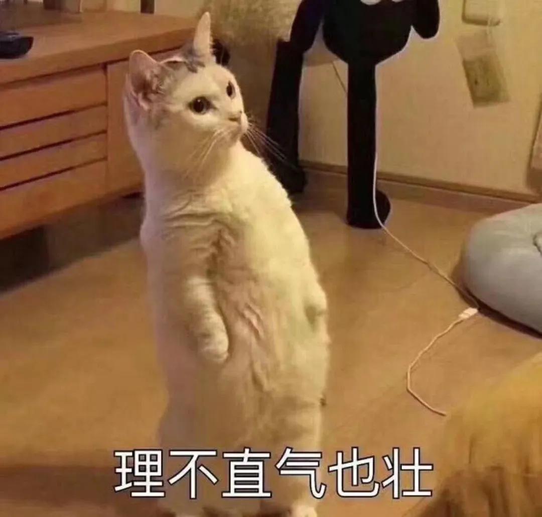 配资开户股票网站官网_配资炒股开户_股票配资开户网