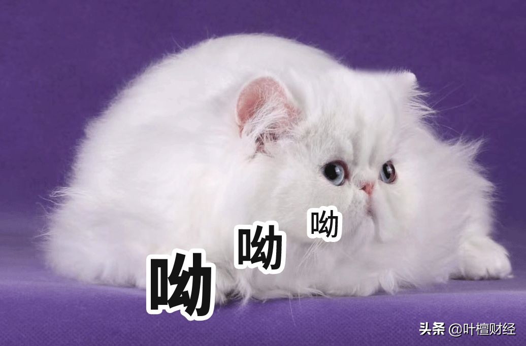 _ 银行理财子公司入市政策 _什么是加杠杆炒股