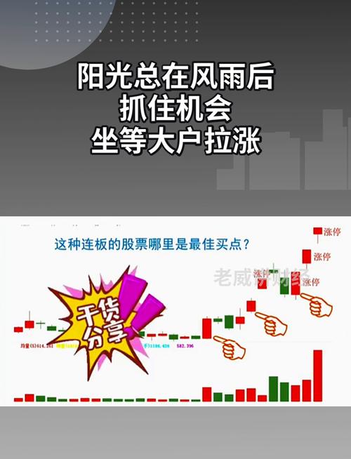 雨后或迎艳阳！揭秘股票群背后藏着的配资业务操作？