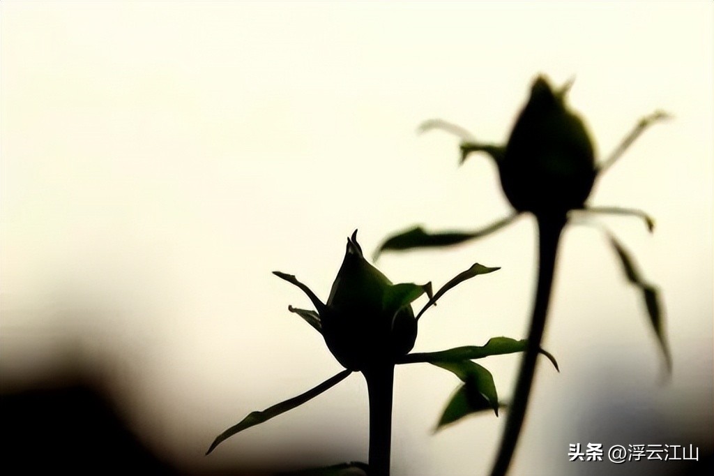  高手心态在炒股中的重要性 __网上配资门户