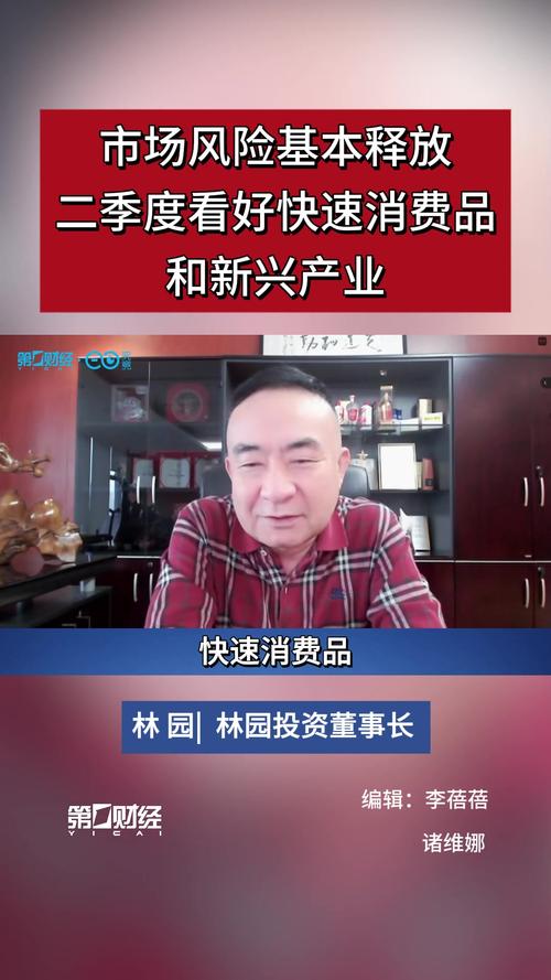 林园投资消费医药板块布局_炒股怎么赚钱_A股林园牛市起点4500点