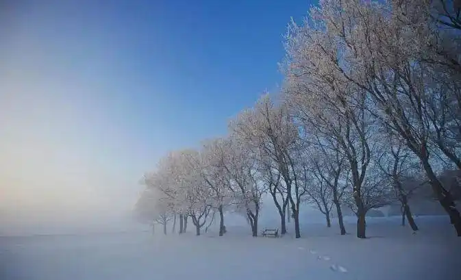 投资者莫被网上经验荼毒，投资成败受多种因素左右