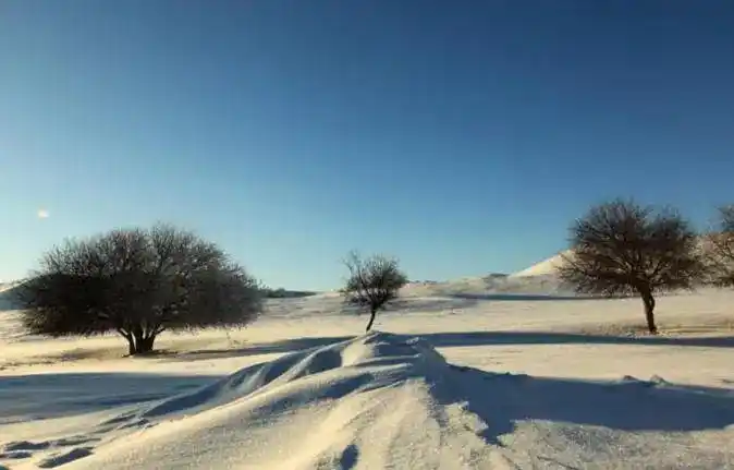 投资心态与执行力_短线交易技巧_短线炒股的技巧