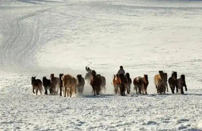 投资心态与执行力_短线炒股的技巧_短线交易技巧