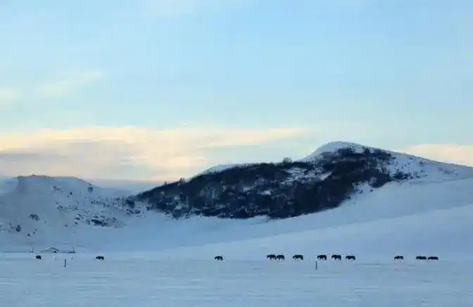 投资心态与执行力_短线炒股的技巧_短线交易技巧