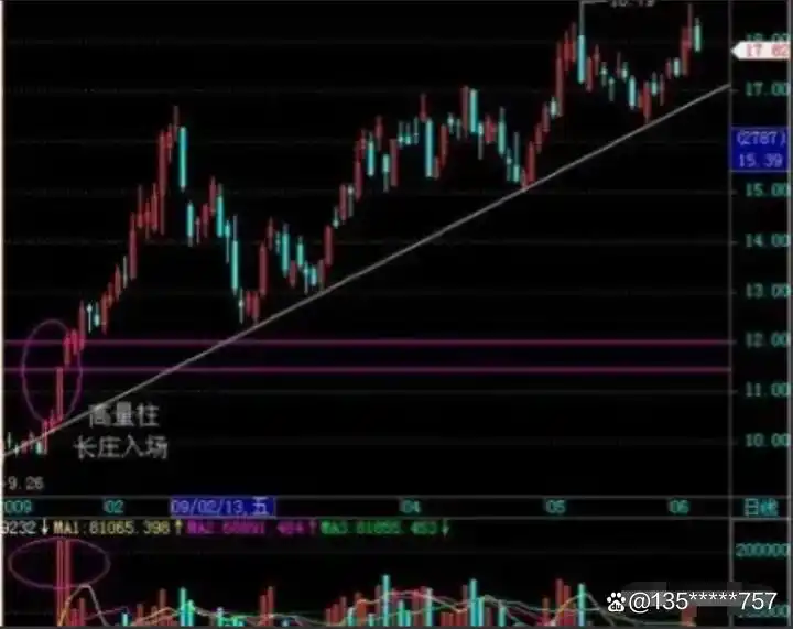 炒股能赚钱吗_高股息股票_选股方式