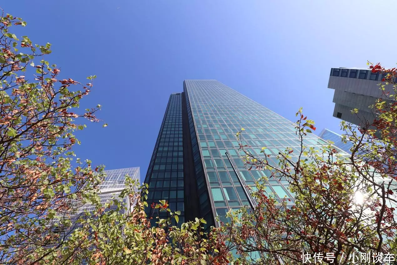 金融市场新手投资迷茫？智能诊股工具为你指引方向