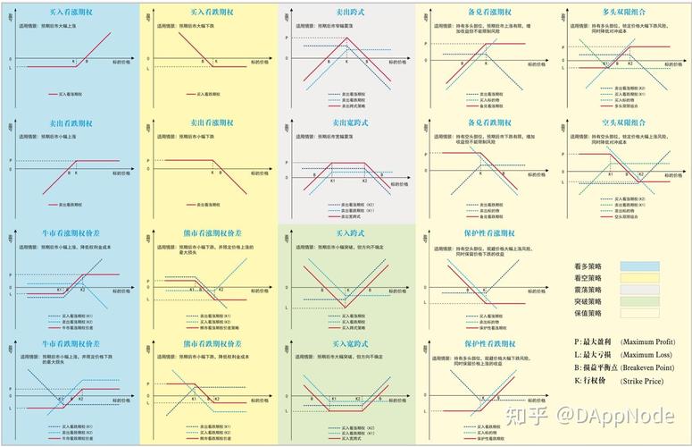股票期权交易制度：看涨与看跌期权解析，Black-Scholes定价模型全攻略