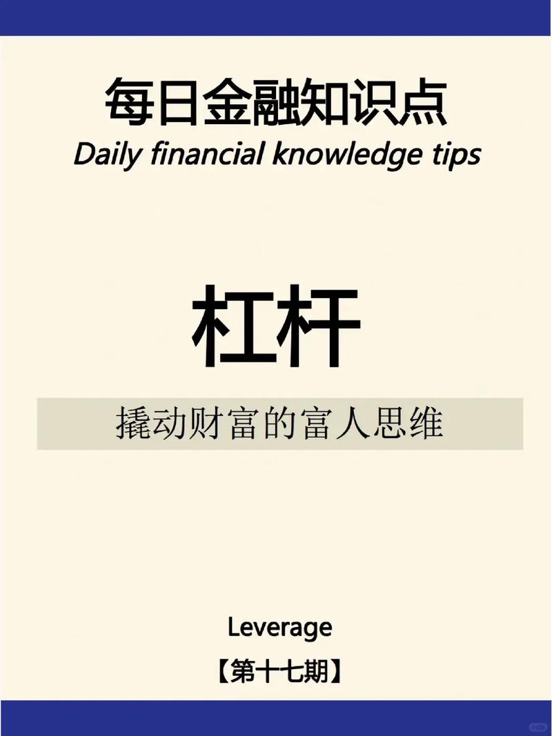 金融杠杆原理_高杠杆风险_股票杠杆意思