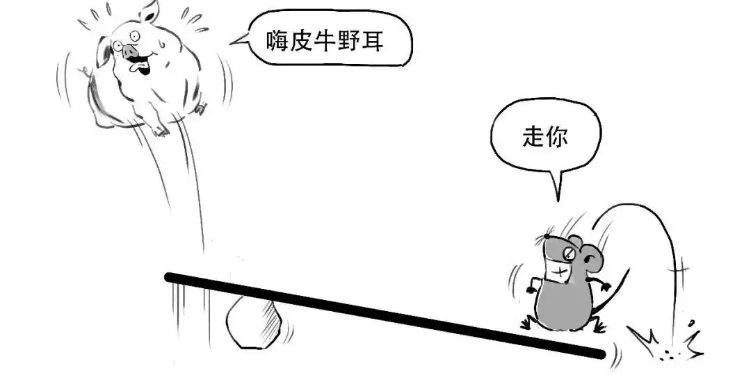 融资交易如何操作_融资融券是什么_融资融券是什么意思