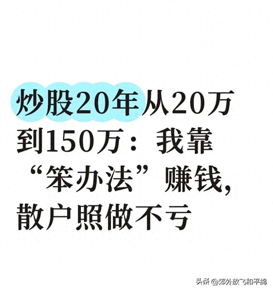 炒股20年，从20万到150万，我的笨办法你也能学