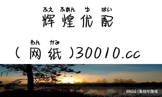 小王探索凯丰资本奥秘，在投资中成长找到财富密码