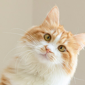 场外配资亏损资金追回_股票杠杆配资_配资公司违法索赔