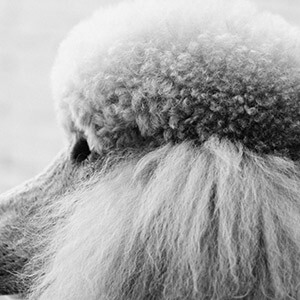 股票杠杆配资_场外配资亏损资金追回_配资公司违法索赔