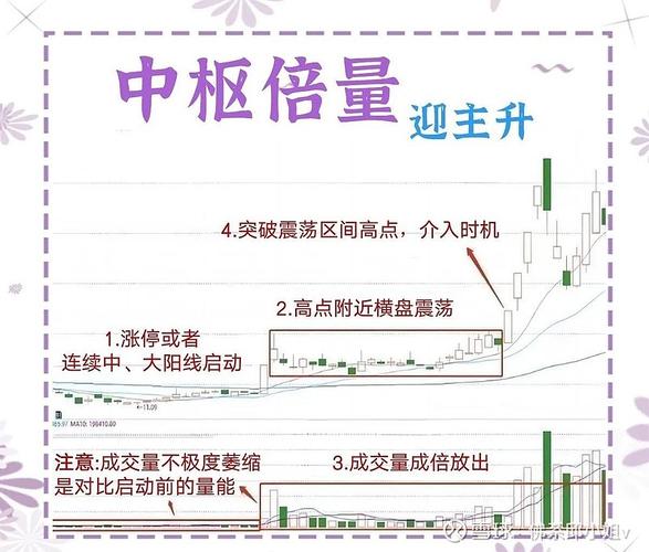 券商ETF华宝512000份额变动_怎么炒股开户_券商ETF银华159842份额规模
