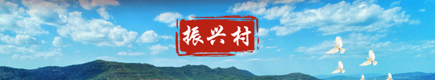 实盘配资平台_实盘配资公司_线上杠杆配资安全��定