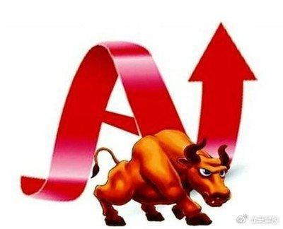 公司基本面分析_价值投资_炒股赚钱