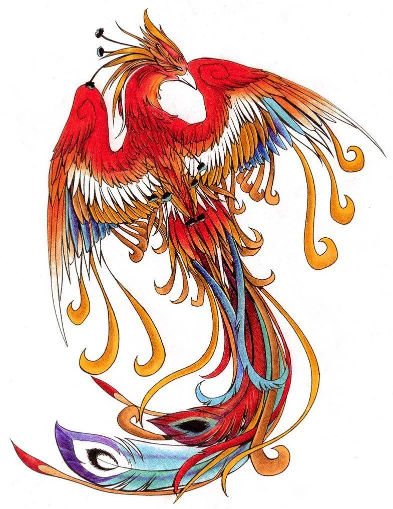 凤凰配资_凤凰的传说故事_凤凰的象征意义