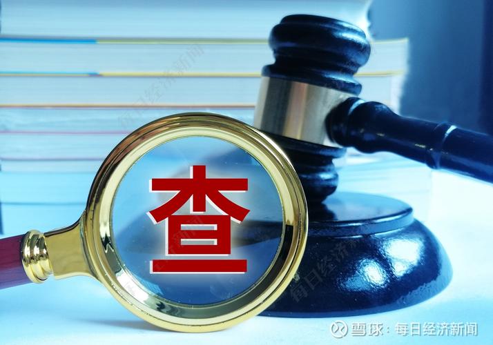 百川股份实际控制人立案调查_百川股份资产负债率攀升_百川资本